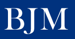 BJM Consulting, Inc.